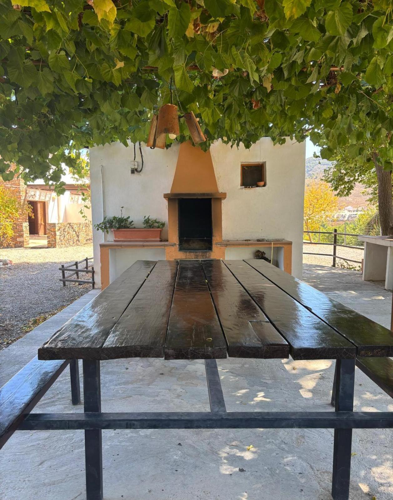 El Domingo En El Valle Fondón