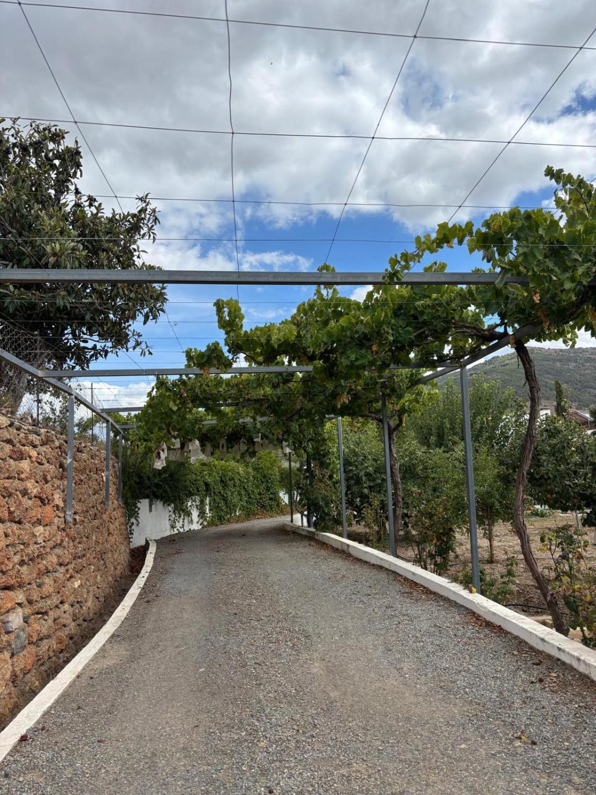 El Domingo En El Valle *