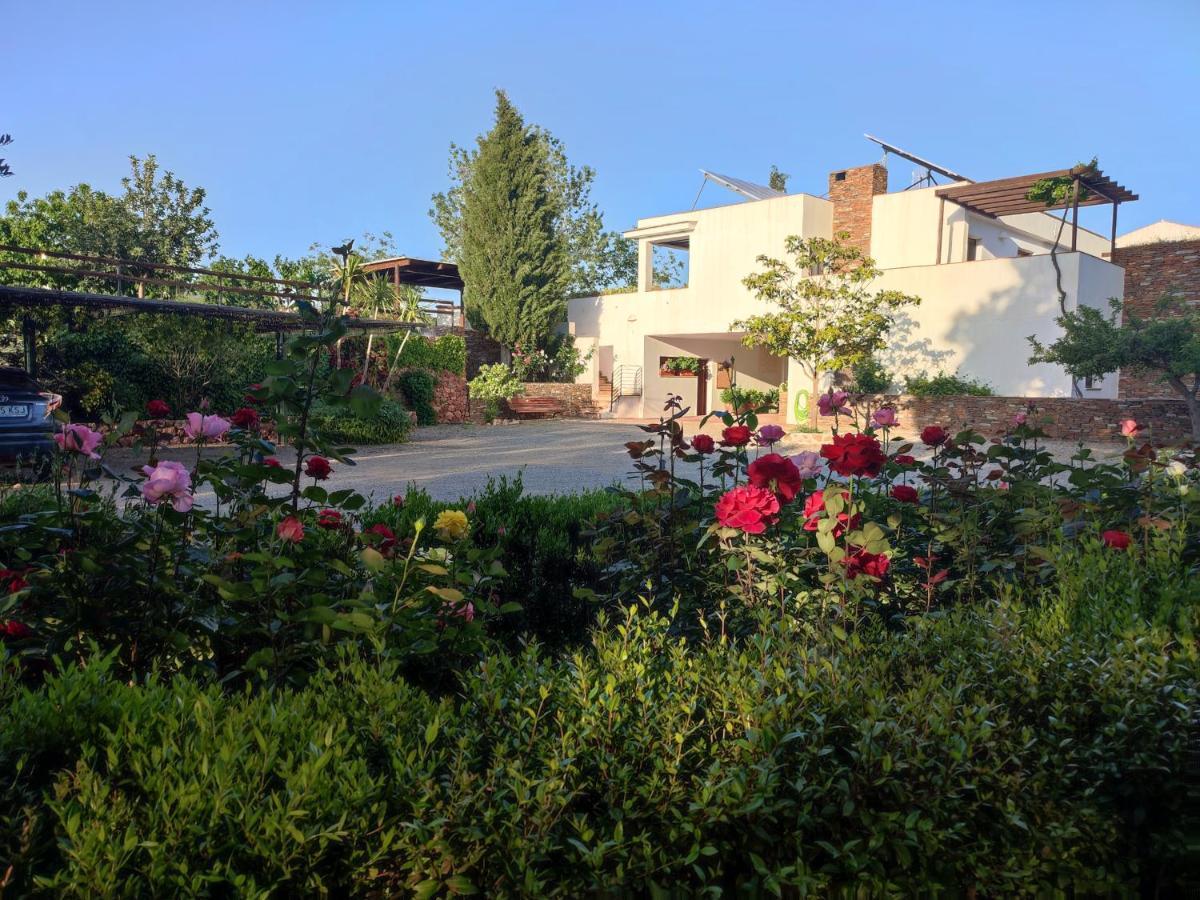 Villa El Domingo En El Valle Fondón